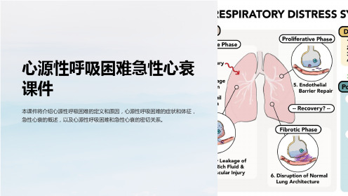 心源性呼吸困难急性心衰课件