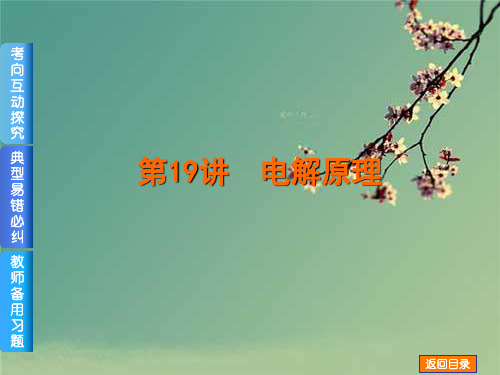 高考化学(广东版)一轮复习方案课件：第19讲 电解原理.ppt