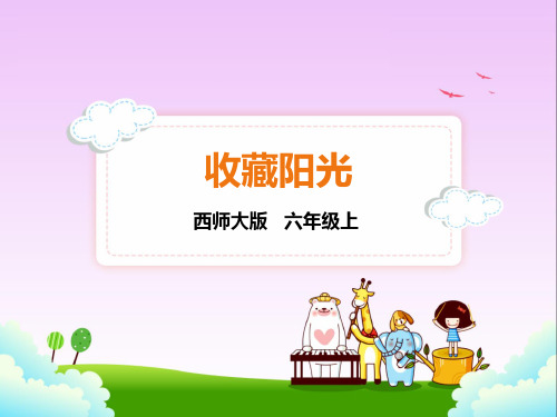 西师大版六年级上册语文22.收藏阳光课件