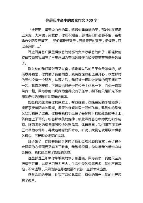 你是我生命中的暖光作文700字