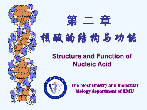 生化课件第二章