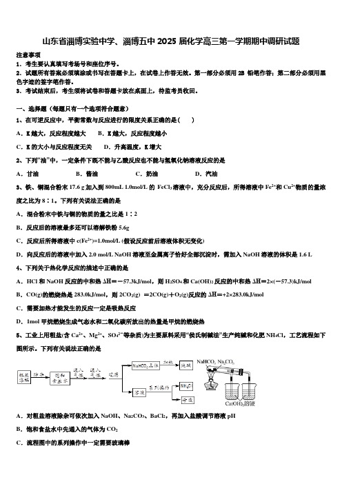 山东省淄博实验中学、淄博五中2025届化学高三第一学期期中调研试题含解析