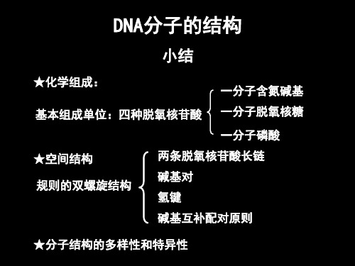 DNA分子的结构规律总结1