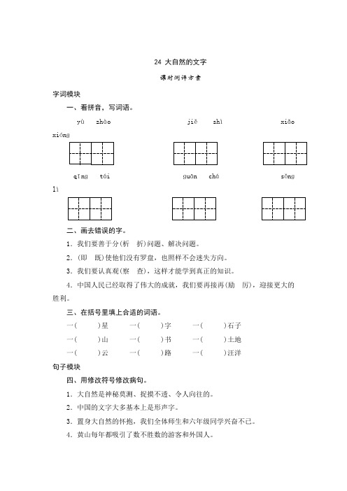 苏教版六年级语文上册24 大自然的文字-课时测评试卷及答案