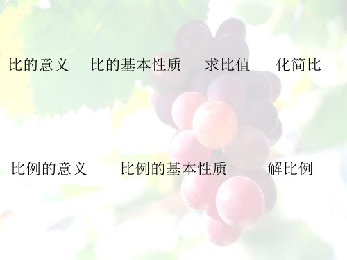 复习比和比例