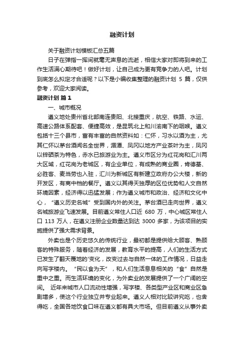 关于融资计划模板汇总五篇