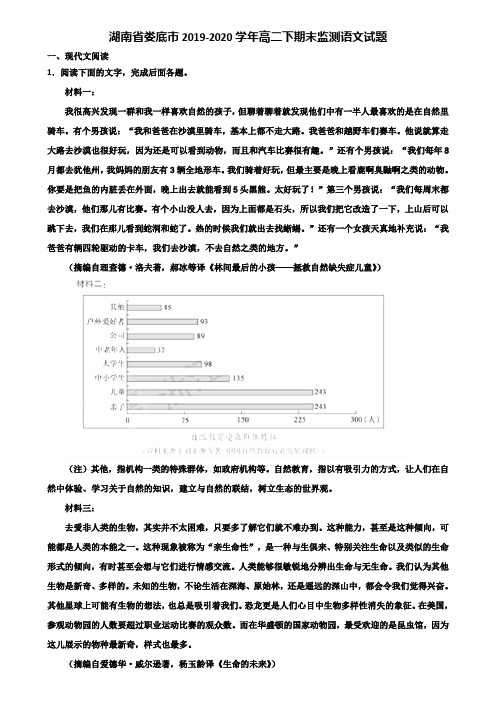 湖南省娄底市2019-2020学年高二下期末监测语文试题含解析