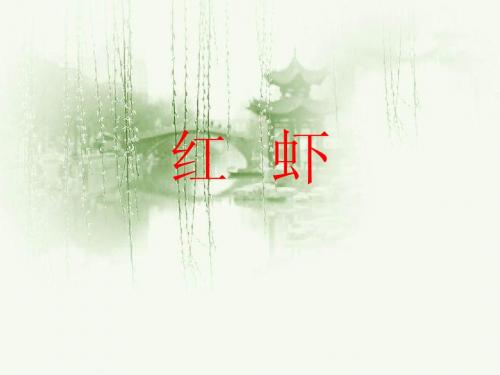 18、《红虾》