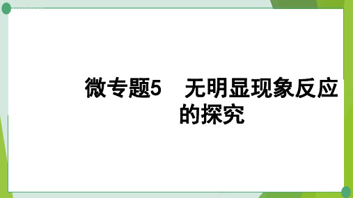 中考化学九年级一轮复习微专题5  无明显现象反应的探究