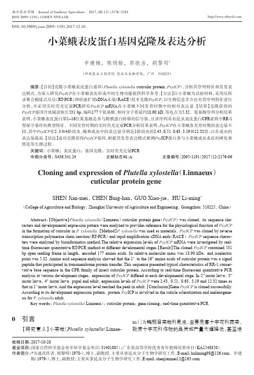 小菜蛾表皮蛋白基因克隆及表达分析