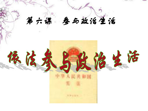 九年级政治全册 第六课 第三框依法参与政治生活课件 新人教版
