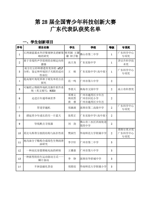 第28届全国青少年科技创新大赛