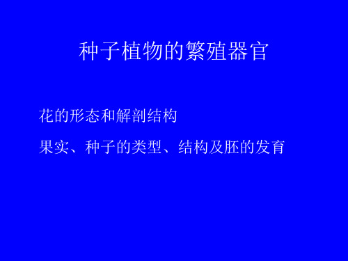 种子植物的繁殖培养花的解剖结构