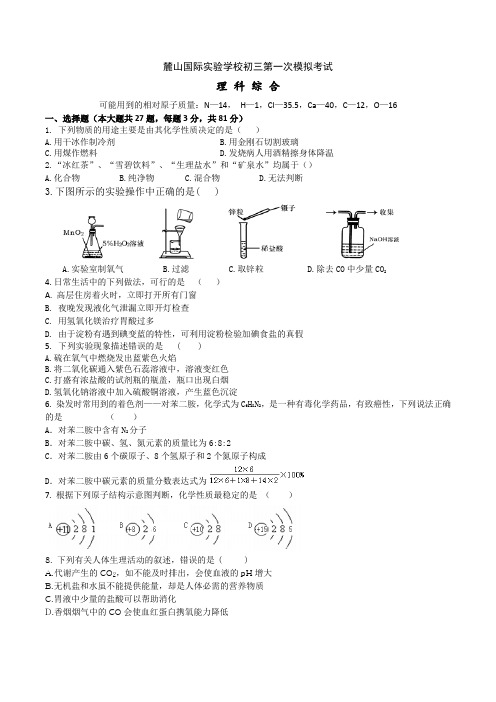 麓山国际实验学校初三模拟考试化学试题附答案