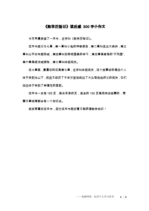 《数学历险记》读后感 300字小作文