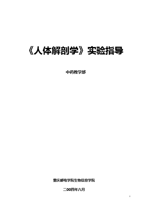 《人体解剖学》实验指导汇总