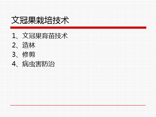 文冠果栽培技术ppt课件