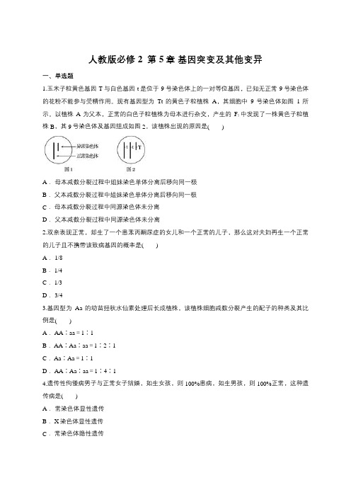 人教版必修2  第5章 基因突变及他变异(含答案)