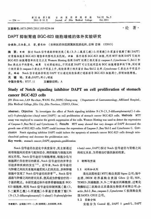 DAPT抑制胃癌BGC-823细胞增殖的体外实验研究