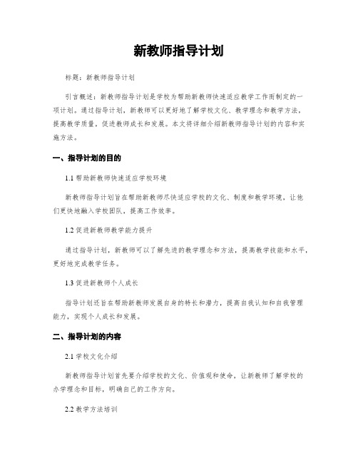 新教师指导计划