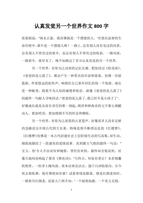 用心发现另一个世界作文800字