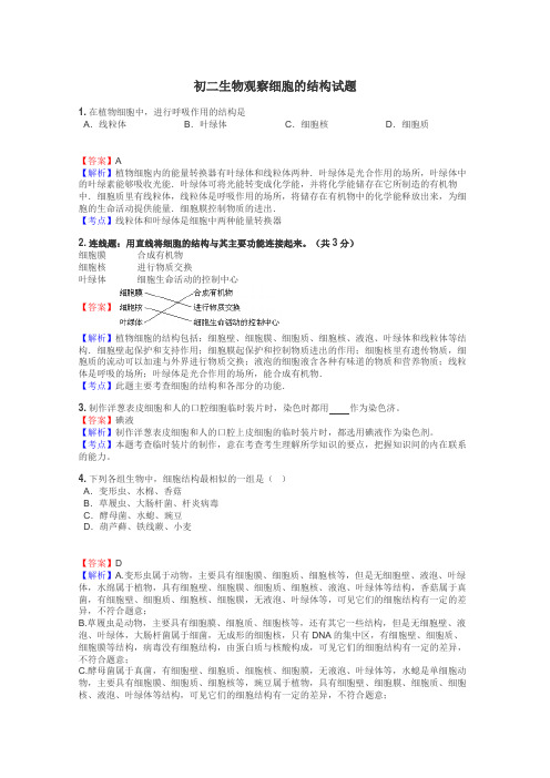 初二生物观察细胞的结构试题