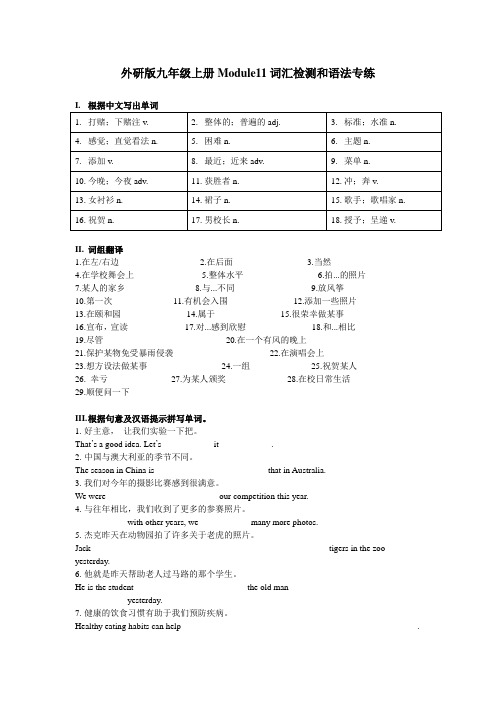 Module 11 词汇+语法练习 外研版英语九年级上册(含答案)