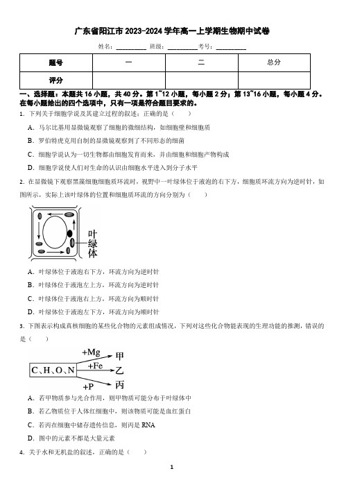 广东省阳江市2023-2024学年高一上学期生物期中试卷(含答案)