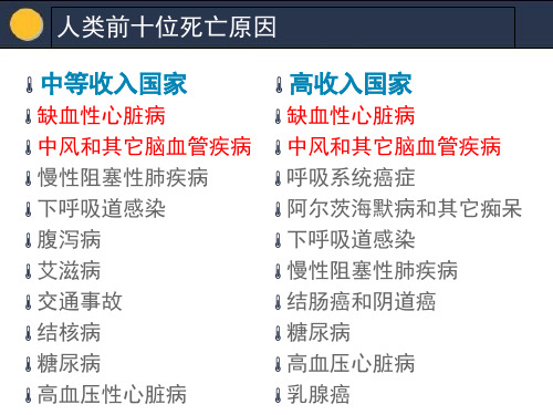 下肢动脉硬化闭塞症31页PPT