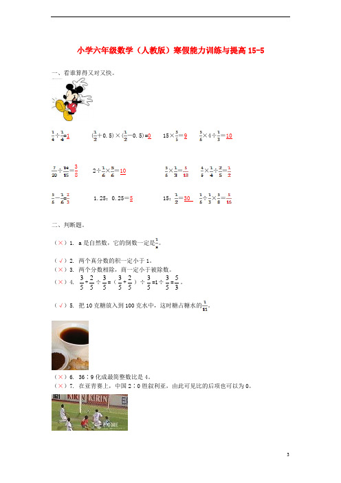 六年级数学寒假能力训练与提高155 人教版