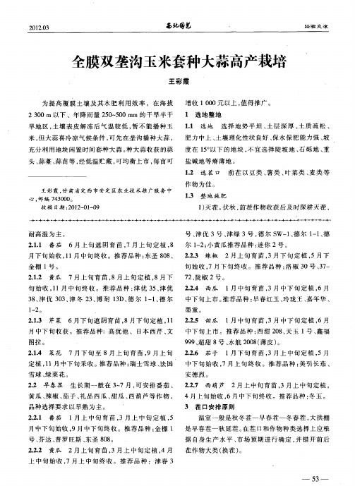 全膜双垄沟玉米套种大蒜高产栽培