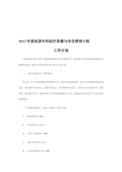 2013年度医疗质量与安全管理小组工作计划