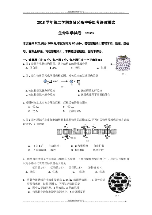 最新奉贤2019生物二模卷(含答案)