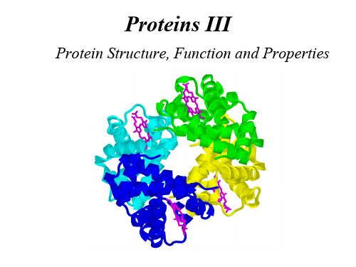 南京大学-杨荣武生物化学-英文版-第一篇-ProteinIII