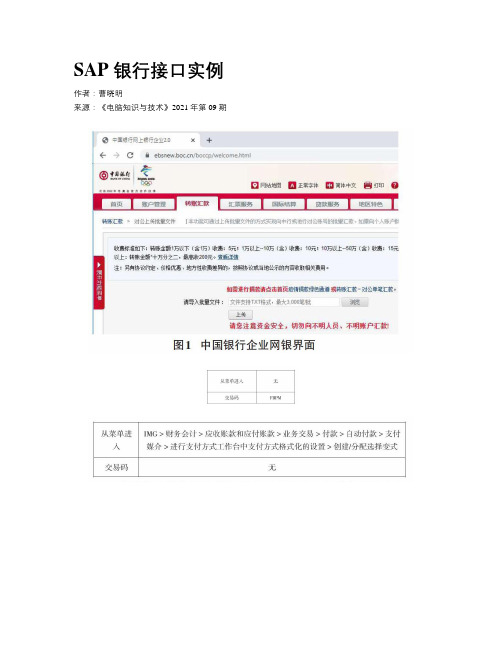 SAP 银行接口实例