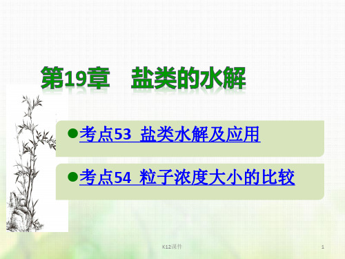 2019版高考化学总复习 第19章 盐类的水解课件