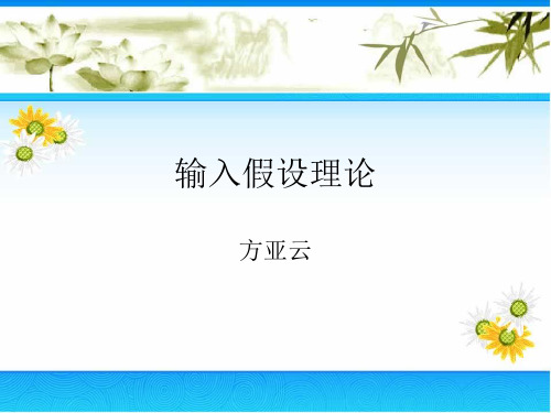 输入理论的评价