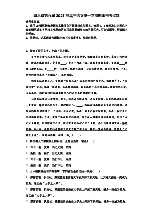 湖北省第五届2025届高三语文第一学期期末统考试题含解析