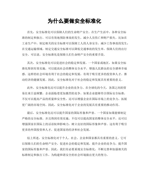 为什么要做安全标准化