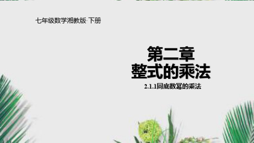 湘教版七年级数学下册课件2.1.1同底数幂的乘法