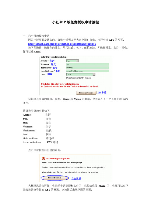 小红伞P版免费授权申请教程