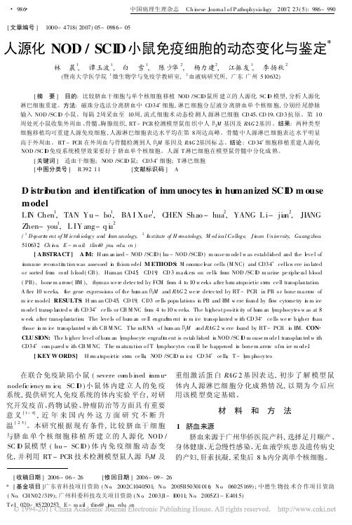 人源化NOD_SCID小鼠免疫细胞的动态变化与鉴定_林晨