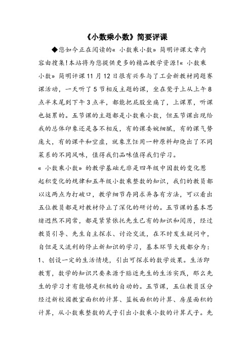 《小数乘小数》简要评课