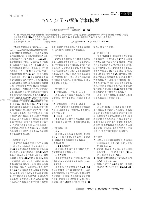 DNA分子双螺旋结构模型