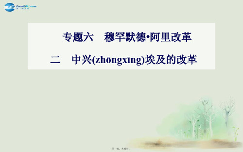 高中历史 专题六、二中兴埃及的改革课件 人民版选修1