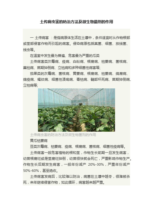 土传病虫害的防治方法及微生物菌剂的作用