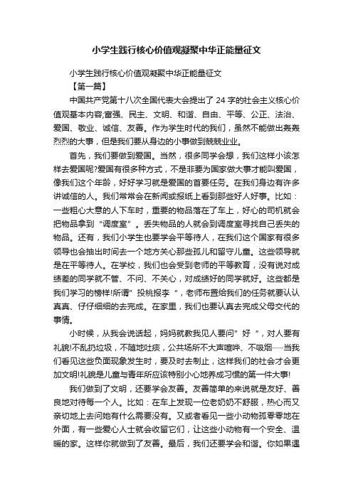 小学生践行核心价值观凝聚中华正能量征文