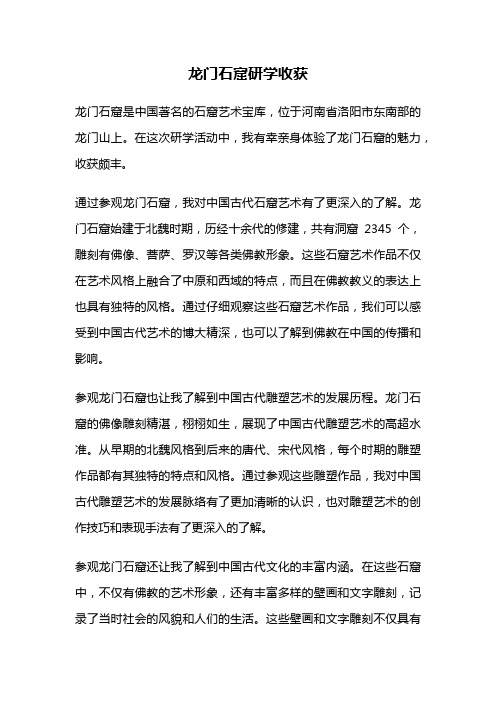 龙门石窟研学收获