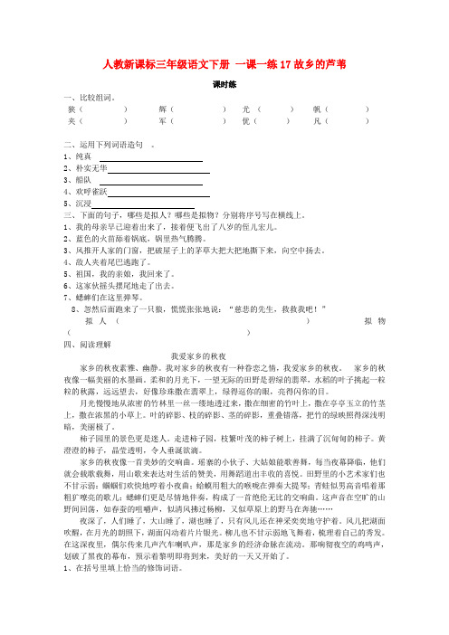 三年级下册语文一课一练-17故乡的芦苇 湘教版(含答案)