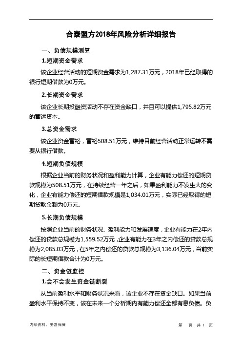 合泰盟方2018年财务风险分析详细报告
